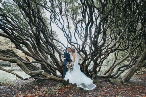 Armed Forces Wedding Craig y Nos Castle