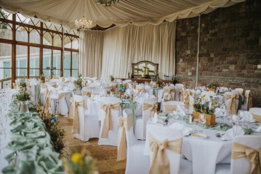 Wedding Party at Craig y Nos Castle 