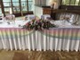 Conservatory Rainbow Wedding Colours
