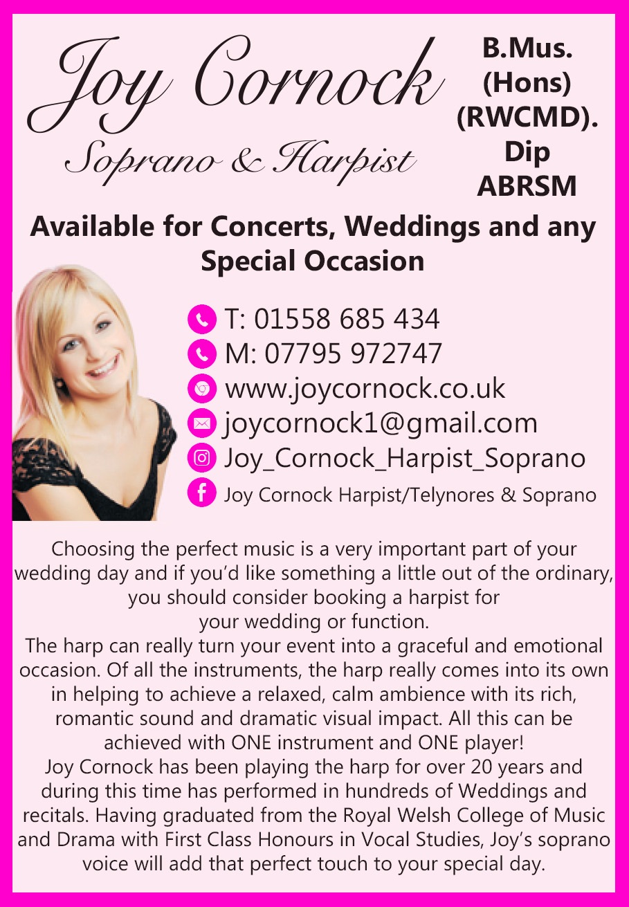 Joy Cornock Harpist weddings