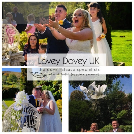 Lovey Dovey UK Dove Release Weddings South Wales