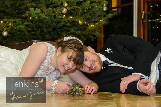 Marriage Venue Wales Craig y Nos Castle Tortoise at wedding
