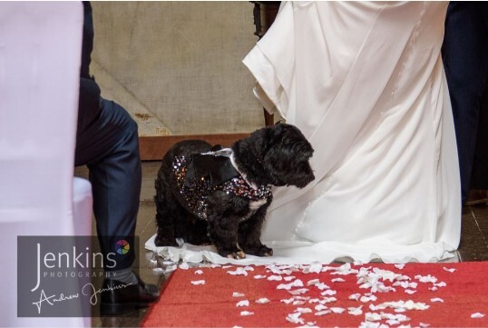 Wales Castle Wedding Venue Craig y Nos dogs welcome at weddings