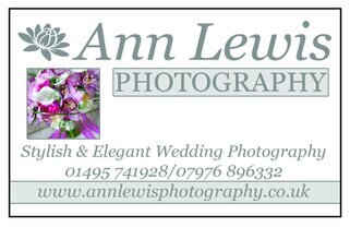 Ann Lewis Wedding Photography logo