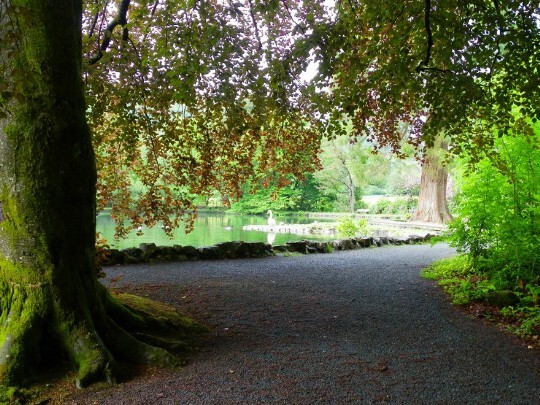 Craig y Nos Castle Country Park circular path around boating lake