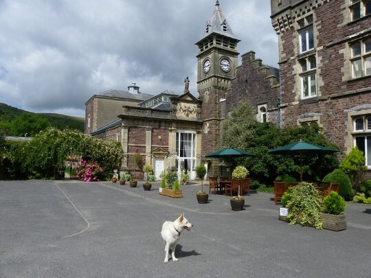 Nice summers day at Craig y Nos, looking across courtyard to the double height entrance doors of the theatre Craig y Nos Castle clocktower and to its left, the front of the theatre with its double height glass doors