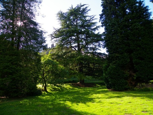 Lower gardens and tall trees with the castle just seen through the trees Lower Gardens of Craig y Nos Castle in Powys, South Wales