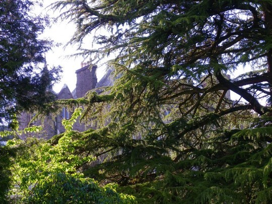 Roofline of Craig y Nos Castle seen through the tall trees of the lower gardens Craig y Nos Castle seen through the branches of tall trees in the lower gardens