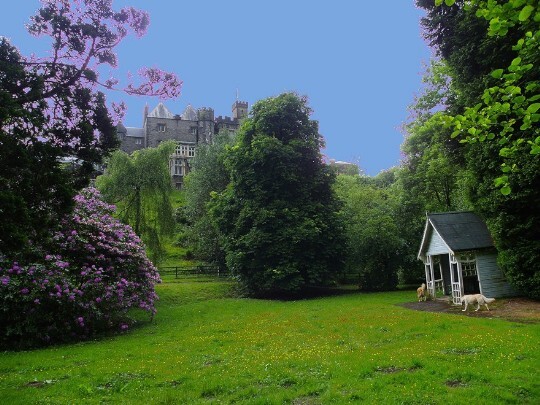 Craig y Nos Castle silhouetted against blue sky, old wooden summerhouse