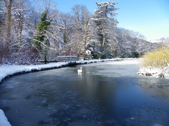 Craig y Nos Country Park boating lake in winter snow and ice