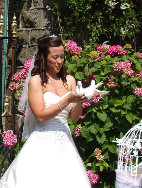 Lovey Dovey UK Dove Release Weddings South Wales