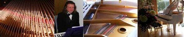Eugene Portman Pianist for Weddings in South Wale