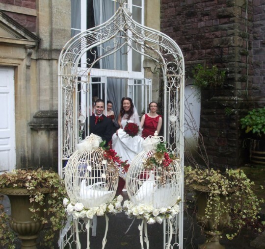 Lovey Dovey UK Dove Release Weddings South Wales Lovey Dovey UK Dove Release Weddings South Wales