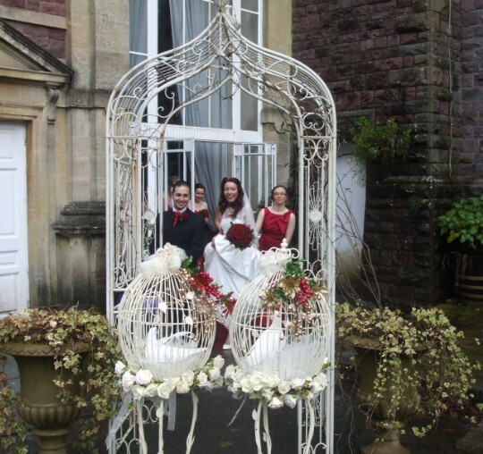 Lovey Dovey UK Dove Release Weddings South Wales