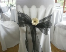 Francis Design Wedding Chaircovers Swansea