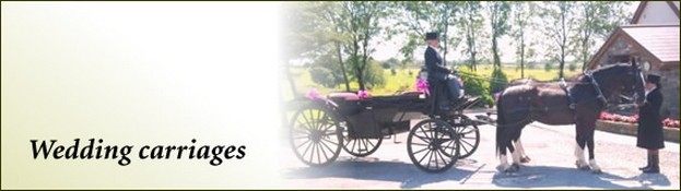 Rowena Moyse Wedding Carriages Swansea