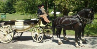 Rowena Moyse Wedding Carriages Swansea